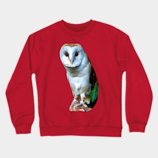 Barn Owl Crewneck Sweatshirt